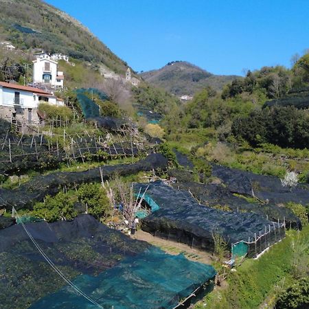 Antica Cartiera Sant'Elia Lejlighed Tramonti Eksteriør billede