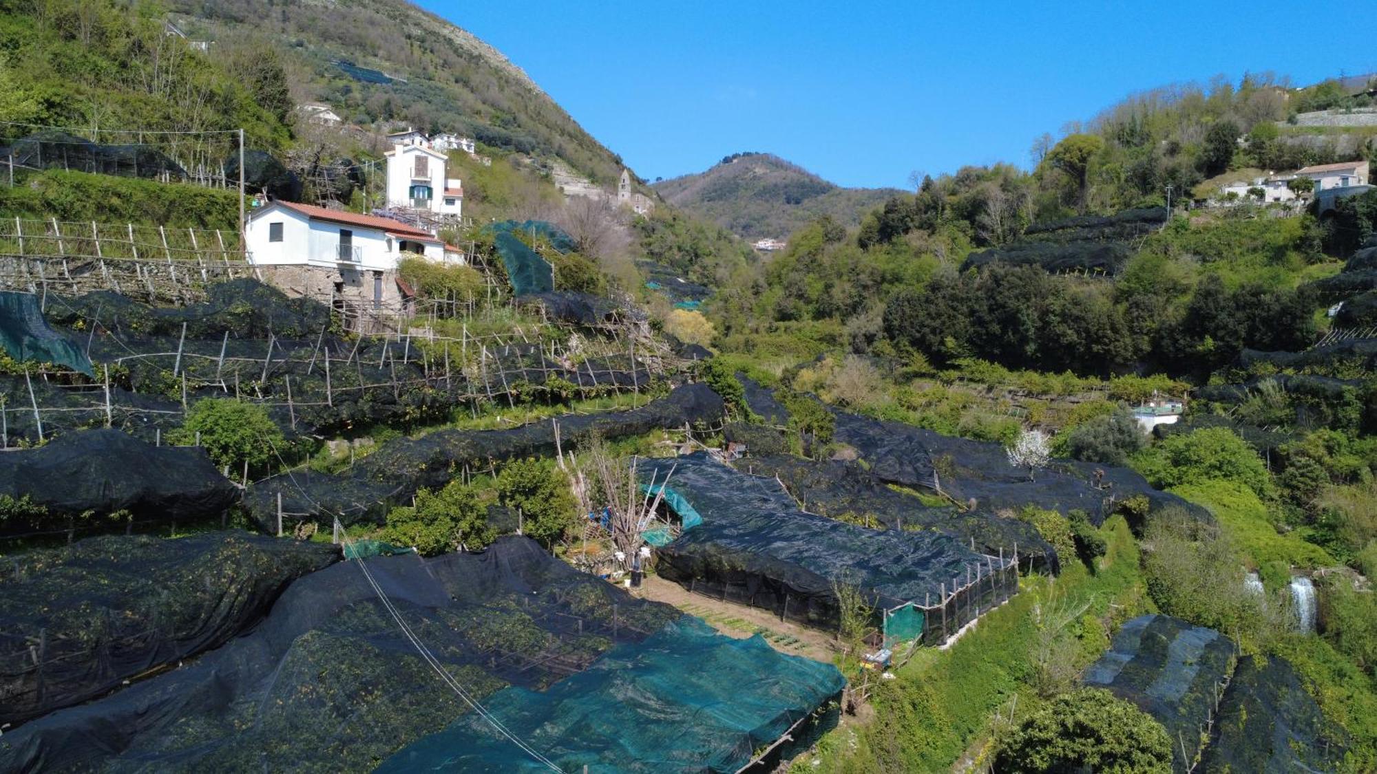 Antica Cartiera Sant'Elia Lejlighed Tramonti Eksteriør billede