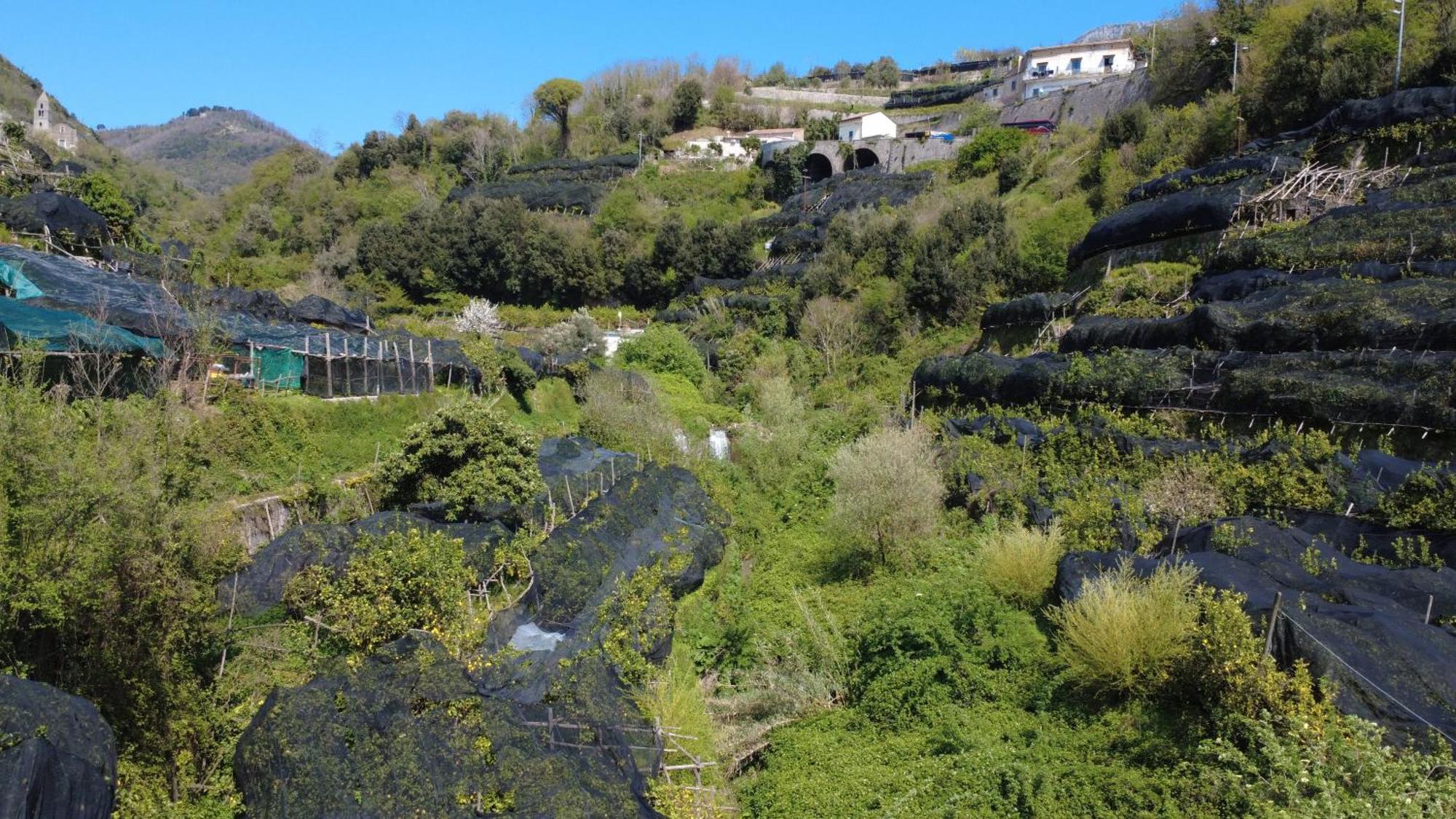 Antica Cartiera Sant'Elia Lejlighed Tramonti Eksteriør billede
